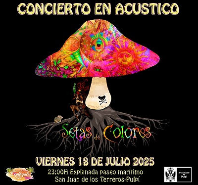  “SETAS DE COLORES”